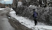 Kauno Sodininkų gatve moksleiviai į mokyklą keliauja nesaugiai