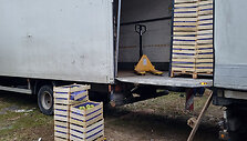 Kaune sulaikyta 2,58 mln. eurų vertės cigarečių siunta