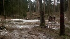 Kurortinėje Kačerginės teritorinėje kertami medžiai