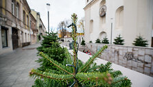 Kaunas jau ruo&scaron;iasi Kalėdoms