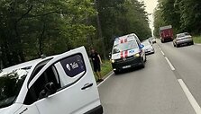 Kauno rajone paramedikai ir policija gelbėjo keliu įėjusį arklį