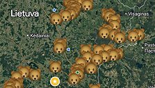 Ignalinos gatvėse per Kalėdas pasirodė me&scaron;ka