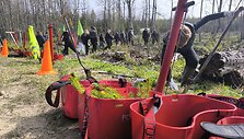 Dovana Adamkui &scaron;imtmečio proga &ndash; 7300 pasodintų medžių giraitė Kauno rajone