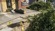 Betvarkė Kauno Bir&scaron;tono gatvėje