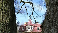 Medžių drožėjų pleneras Kauno rajone