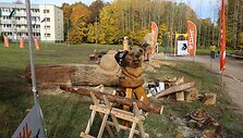 Medžių drožėjų pleneras Kauno rajone