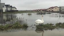 Užlieti sklypai Romainiuose