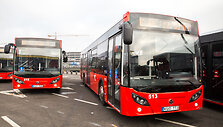 Naujų "Temsa" autobusų pristatymas