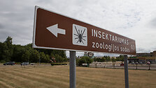 Uždarytas Insektariumas Palangoje