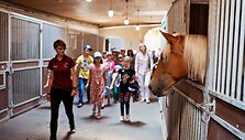 &Scaron;ventės akimirkos Dubingių žirgyne