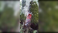 579a10dae50fbvideo_579a10ca5512b