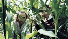 Barbara McClintock 2