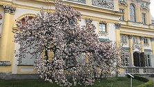 Kelionės po Var&scaron;uvą akimirka