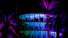 Festivalio &bdquo;Coachella&ldquo; akimirka