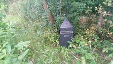 Nurodomasis ženklas - pasislėpęs tarp žolių