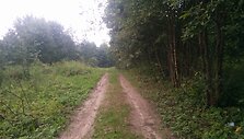 Vie&scaron;kelis, vedantis link kapavietės