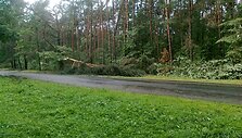 Įkrauk.lt nuotrauka
