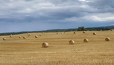 Fotokonkursas &bdquo;Žalia vasara&ldquo;: pasigrožėkite skaitytojų kadrais (II)