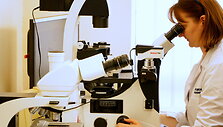 Klaipėdos univesitetas