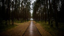 Baltijos jūra grimzda į rudeninį sapną 