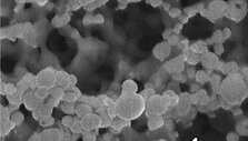 Trimatė nanodalelių struktūra į kraują i&scaron;skiria insulino tiek, kiek jo i&scaron; tikrųjų reikia organizmui