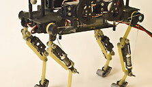 Naminės katės judesius identi&scaron;kai atkartojantis robotas