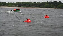 Nelegalų gaudynės