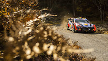 WRC etapas Japonijoje