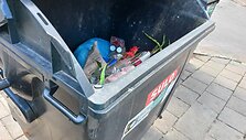 Gėlės konteineryje Panevėžyje