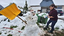 Sniegas nuklojo Reginos Valiukienės ūkį