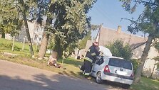 Avarijos vietoje