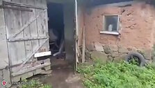 kupiskio-rajono-sodyboje-aptikta-kanapiu-plantacija