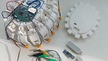 Biomedicininė elektroninė įranga poinsultinei stebėsenai