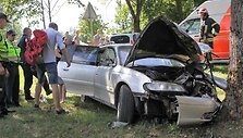 Nuo kelio nuvažiavo &bdquo;Opel Omega&ldquo; ir skaudžiai rėžėsi į medį