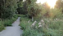 Nenu&scaron;ienauti &Scaron;iauliai