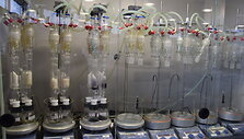 &bdquo;Hohenstein&ldquo; laboratorijoje