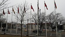 Rinkimai &Scaron;iauliuose