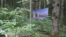 Basakojų takas