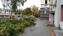 Vėtra vertė medžius su &scaron;aknimis