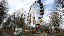 &Scaron;iaulių karuselės
