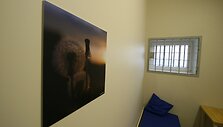 &Scaron;iauliuose naujai atidarytoje are&scaron;tinėje ant sienų kabo meniniai gamtos vaizdai