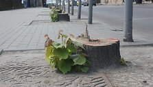 &Scaron;iaulių &bdquo;Busturo&ldquo; darbuotojai mitinge reikalavo keisti bendrovės vadovybę