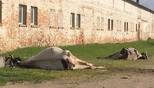 news_5b053102a17a3ffca4cc.jpg