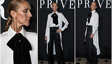 Celine Dion įvaizdis &bdquo;Giorgio Armani Priv&eacute;&ldquo; kolekcijos pristatyme