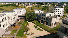 Projektas &bdquo;Bajorų alėjos&ldquo;