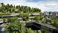 &bdquo;Kampung Admiralty&ldquo; Singapūre (arch. &bdquo;WOHA Architects&ldquo;).