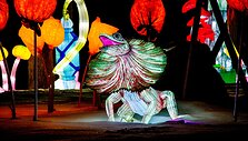 Festivalis &bdquo;Stebuklų &scaron;alyje&ldquo;