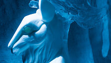Ledo vie&scaron;butis &bdquo;Icehotel&ldquo; &Scaron;vedijoje