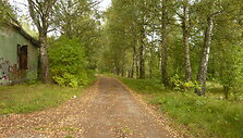 Rukainiai