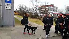 5cb9b0a3425c5video_5cb9b09fecd38